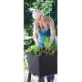 Keter Easy 31.7 Gallon Raised Garden Bed with Self Watering Planter Box and Drainage Plug-Perfect for Growing Fresh Vegetables, Flowers and Herbs, Graphite