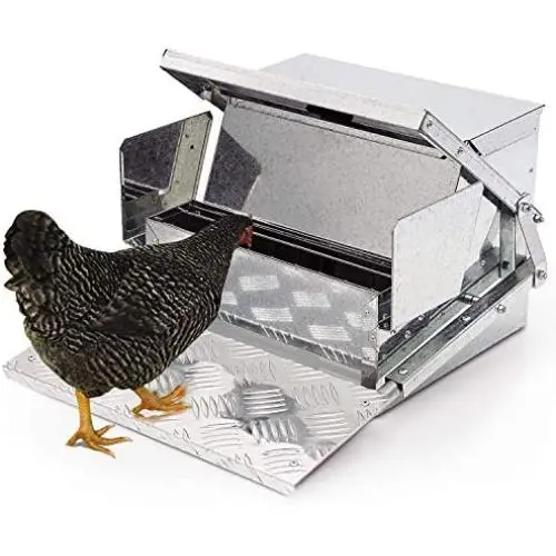 Automatic Chicken Feeder - Sturdy Galvanized Steel Poultry Feeders with Weatherproof Cover Standard Size for 6-12 Chickens 10 Days (20lb Feed) Automatic Chicken Feeder - Sturdy Galvanized Steel Poultry Feeders with Weatherproof Cover Standard Size for 6-12 Chickens 10 Days (20lb Feed)