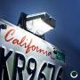 Trailer LED License Plate Light [Bracket Mount] [DOT FMVSS 108] [SAE L] [Chrome-Finish] [Waterproof] [12V DC] License Tag Lights for UTV ATV Trailer Truck RV Boat