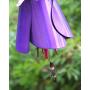 Desert Steel Hummingbird Feeder - (Fuchsia - 12”W x 18”H) - All-Weather Outdoor Metal Garden Art Flower Bird Feeder