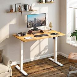 Flexispot Standing Desk Height Adjustable Desk Electric Sit Stand Desk 48 x 24 Inches Home Office Desks (White Frame + Maple Top)