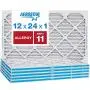 Aerostar Allergen and Pet Dander 12x24x1 MERV 11 Pleated Air Filter Made in the USA 6 Pack
