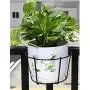 4 Pack Hanging Railing Planters Flower Pot Holders Plant Iron Racks Fence Metal Potted Stand Mounted Balcony Round Plant Baskets Shelf Container Box for Indoor&Outdoor Use-Black,Garden Steel Pots,6.3'' 4 Pack Hanging Railing Planters Flower Pot Holders Plant Iron Racks Fence Metal Potted Stand Mounted Balcony Round Plant Baskets Shelf Container Box for Indoor&Outdoor Use-Black,Garden Steel Pots,6.3''