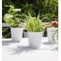 Dahey 8 Pcs Hanging Flower Pots Metal Iron Bucket Planter for Railing Fence Balcony Garden Home Decoration Flower Holders with Detachable Hooks, White, 4 Inches