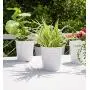 Dahey 8 Pcs Hanging Flower Pots Metal Iron Bucket Planter for Railing Fence Balcony Garden Home Decoration Flower Holders with Detachable Hooks, White, 4 Inches Dahey 8 Pcs Hanging Flower Pots Metal Iron Bucket Planter for Railing Fence Balcony Garden Home Decoration Flower Holders with Detachable Hooks, White, 4 Inches