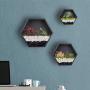 Ecosides Mixed 3 Iron Honeycomb Wall Planter Indoor, Hexagon Wall Hanging Planter, Geometric Terrarium, Wall Vase Florarium, Metal Planter for Wall Decor, Hanging Terrarium (Black)