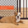 Summer Modern Home Decorative Walk-Thru Baby Gate, Metal with Bronze Finish, Decorative Arched Doorway – 30” Tall, Fits Openings up to 28” to 42” Wide, Baby and Pet Gate for Doorways and Stairways