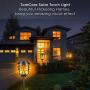 TomCare Solar Lights Metal Solar Torch Lights Flickering Flame Outdoor Lighting Decorative Landscape Pathway Garden Lights Waterproof Solar Powered Dusk to Dawn Auto On/Off for Patio Yard Pool, 2 Pack