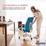 NOUHAUS Palette Ergonomic Office Chair Comfortable Swivel Computer Desk Chair, Lumbar Adjust Rolling Chair. (Blue)