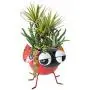 GIFTME 5 Metal Ladybug Flower Planter Garden Pot for Plants Indoor or Outdoor Decorations,7.5Inch GIFTME 5 Metal Ladybug Flower Planter Garden Pot for Plants Indoor or Outdoor Decorations,7.5Inch