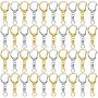 Roctee 100 Piece D Hook Keychain Hardware with Jump Rings, Metal Split Key Ring Clips with Chain for Craft Charm Making DIY (Silver & Gold)