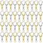 Roctee 100 Piece D Hook Keychain Hardware with Jump Rings, Metal Split Key Ring Clips with Chain for Craft Charm Making DIY (Silver & Gold)