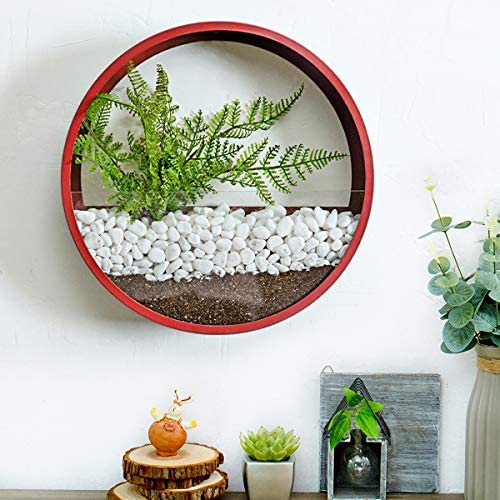 Ecosides Wall Mounted Planter Wall Hanging Planters Metal Plant Terrarium for Indoor Planter, Faux Flower Air Plant Holders Decorative Morden Circle Iron Vase for Succulent Wall Decor(8'' H, Red)