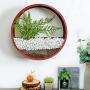 Ecosides Wall Mounted Planter Wall Hanging Planters Metal Plant Terrarium for Indoor Planter, Faux Flower Air Plant Holders Decorative Morden Circle Iron Vase for Succulent Wall Decor(8'' H, Red)