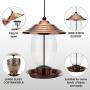 Realead Wild Bird Feeder Outdoor Hanging for Garden Yard Outside Decoration，Metal Glass Bird Feeder 3-Pound Seed Capacity, Easy to Clean