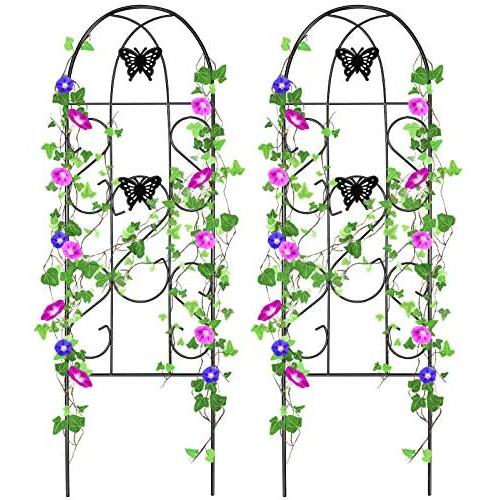 Amagabeli 2 Pack Garden Trellis 60'' x 18'' Rustproof Black Iron Butterfly Potted Vegetables Flowers Patio Metal Lattices Grid Panels for Ivy Roses Cucumbers Clematis Supports