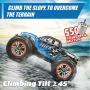 Hosim RC Cars 1:12 4WD 46KM/H High Speed Remote Control Car RC Monster Truck for Kids Adults, All Terrain Offroad Car 40+ Min Play Radio Controlled Car for Boys|2 Batteries|6 Oil Filled Shocks|