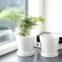 BUYMAX Plant Pots Indoor –5 inch Ceramic Flower Pot with Drainage Hole and Ceramic Tray - Gardening Home Desktop Office Windowsill Decoration Gift, Set of 4 - Plants NOT Included (White) BUYMAX Plant Pots Indoor –5 inch Ceramic Flower Pot with Drainage Hole and Ceramic Tray - Gardening Home Desktop Office Windowsill Decoration Gift, Set of 4 - Plants NOT Included (White)