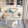 FEZIBO Dual Motor Height Adjustable Electric Standing Desk with Keyboard Tray, 48 x 24 Inch Sit Stand Table with Splice Board, White Frame/Natural and White Top