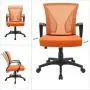 Furmax Office Chair Mid Back Swivel Lumbar Support Desk Chair, Computer Ergonomic Mesh Chair with Armrest (Orange) Furmax Office Chair Mid Back Swivel Lumbar Support Desk Chair, Computer Ergonomic Mesh Chair with Armrest (Orange)