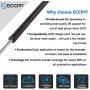 ECCPP Lift Supports Rear Trunk Hatch Shocks Struts Gas Springs for 2005-2010 Scion tC Compatible with 4597 Strut Set of 2