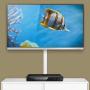 D-Line TV Cable Raceway On Wall Cord Cover - 39 Inch Large Paintable Channel to Hide and Conceal Cords, Cables, or Wires - Cable Management - 2” (W) x 1” (H), White