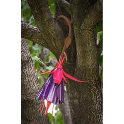 Desert Steel Hummingbird Feeder - (Fuchsia - 12”W x 18”H) - All-Weather Outdoor Metal Garden Art Flower Bird Feeder