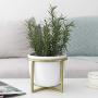 Ceramic Flower Plant Pot with Stand - 6.7 Inch White Indoor Planter Pot with Gold Metal Stand for Herbs Orchids Cacti Succulents