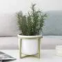 Ceramic Flower Plant Pot with Stand - 6.7 Inch White Indoor Planter Pot with Gold Metal Stand for Herbs Orchids Cacti Succulents
