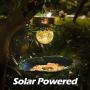 Birdream Solar Bird Feeder for Outside Hanging Wild Birdfeeders Seed Tray Outdoor Solar Powered Garden Light Metal Butterfly Decorative LED Landscape Lighting Waterproof 9.5 Inch Dia for Yard Birdream Solar Bird Feeder for Outside Hanging Wild Birdfeeders Seed Tray Outdoor Solar Powered Garden Light Metal Butterfly Decorative LED Landscape Lighting Waterproof 9.5 Inch Dia for Yard