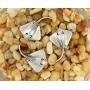 Bezelry 12 Pieces Stingray Antique Silver Color Metal Shank Buttons 21mm
