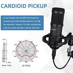 USB Streaming Microphone Kit, Stilnend Professional 192KHZ/24Bit Studio Cardioid Condenser Mic Kit with Sound Chipset Boom Arm Shock Mount Pop Filter, for PC Karaoke Skype Youtuber Gaming Recording