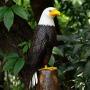 chisheen Bald Eagle Outdoor Metal Yard Art Statue and Sculpture for Garden Lawn Patio Living Room Decoration