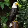 chisheen Bald Eagle Outdoor Metal Yard Art Statue and Sculpture for Garden Lawn Patio Living Room Decoration chisheen Bald Eagle Outdoor Metal Yard Art Statue and Sculpture for Garden Lawn Patio Living Room Decoration