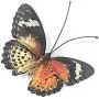 VOKPROOF Metal Butterfly Wall Decor - Set of 5 Butterflies Art Decorations for Outdoor Garden,Patio,Fence VOKPROOF Metal Butterfly Wall Decor - Set of 5 Butterflies Art Decorations for Outdoor Garden,Patio,Fence