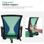 Home Office Chair Ergonomic Desk Chair Mesh Computer Chair with Lumbar Support Armrest Rolling Swivel Adjustable Mid Back Task Chair for Adults(Green)