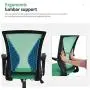 Home Office Chair Ergonomic Desk Chair Mesh Computer Chair with Lumbar Support Armrest Rolling Swivel Adjustable Mid Back Task Chair for Adults(Green) Home Office Chair Ergonomic Desk Chair Mesh Computer Chair with Lumbar Support Armrest Rolling Swivel Adjustable Mid Back Task Chair for Adults(Green)