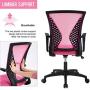 Office Chair Desk Chair Computer Chair with Lumbar Support Armrest Mid Back Rolling Swivel Task Adjustable Mesh Ergonomic Chair for Women Adults, Pink