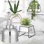 Ovida 10oz/300ml Metal Watering Can, Plant Spray Bottle, Stainless Steel Watering Pot, Outdoor Indoor Gardening Plant Water Can with Top Pump(Silver)
