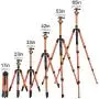 MACTREM Professional Camera Tripod with Phone Mount, 62'' DSLR Tripod for Travel, Super Lightweight and Reliable Stability, Ball Head Tripod Detachable Monopod with Carry Bag (Orange) MACTREM Professional Camera Tripod with Phone Mount, 62'' DSLR Tripod for Travel, Super Lightweight and Reliable Stability, Ball Head Tripod Detachable Monopod with Carry Bag (Orange)
