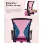 Home Office Chair Mid Back PC Swivel Lumbar Support Adjustable Desk Task Computer Ergonomic Comfortable Mesh Chair with Armrest (Pink) Home Office Chair Mid Back PC Swivel Lumbar Support Adjustable Desk Task Computer Ergonomic Comfortable Mesh Chair with Armrest (Pink)