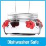 Natures Way Bird Products MJF1 Natures Way Mason Jar Hummingbird Dish Feeder, Clear