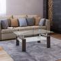 Depointer Life Glass Coffee Table, Rectangle Coffee Table for Living Room Modern Side Coffee Table with Lower Shelf,Perfect for Living Room Conversation Leisure Occasions, Metal Leg,Brown