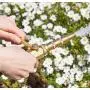 Haus & Garten Heavy-Duty Brass Shut Off Valve Haus & Garten Heavy-Duty Brass Shut Off Valve