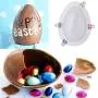 2 Sets Large Acrylic Hard Breakable Easter Chocolate Egg Molds Reusable Dinosaur Egg Mold Soap Mold to Make Breakable Chocolate Eggs (Acrylic) 2 Sets Large Acrylic Hard Breakable Easter Chocolate Egg Molds Reusable Dinosaur Egg Mold Soap Mold to Make Breakable Chocolate Eggs (Acrylic)