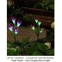 Bright Zeal 2 Bundle 8 Lily LED Fairy Solar Garden Light with Color Changing Flower Lights - Multi Color Solar Lights Outdoor Garden LED Flower Waterproof - Solar Power Purple Lily Flower LED Light