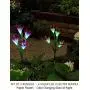 Bright Zeal 2 Bundle 8 Lily LED Fairy Solar Garden Light with Color Changing Flower Lights - Multi Color Solar Lights Outdoor Garden LED Flower Waterproof - Solar Power Purple Lily Flower LED Light Bright Zeal 2 Bundle 8 Lily LED Fairy Solar Garden Light with Color Changing Flower Lights - Multi Color Solar Lights Outdoor Garden LED Flower Waterproof - Solar Power Purple Lily Flower LED Light