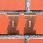 Metal Brick Hanger Brick Wall Clips Hooks Fastener Clips Fits Brick 2.24 inch to 2.48 inch in Height for Hanging Pictures (2 Pieces)