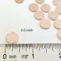 10 Pieces - 16K Rose Gold Plated Coin Disc Charm Round Stamping Blank Tag Metal Jewelry Making Supply Blank Initial Charm Holiday Gift .5''x.5'' (12x12mm) - 10PC (Rose Gold)