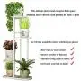 Metal 4 Tier 5 Potted Plant Stand Multiple Flower Pot Holder Shelves Planter Rack Storage Organizer Display for Indoor Garden Balcony, Overall Size: 33×17.5 Inch Metal 4 Tier 5 Potted Plant Stand Multiple Flower Pot Holder Shelves Planter Rack Storage Organizer Display for Indoor Garden Balcony, Overall Size: 33×17.5 Inch
